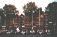 In Reihe und Glied' direkt an der Straße